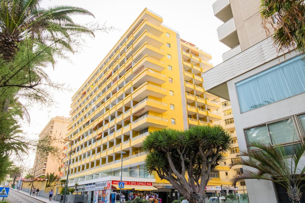 Live Puerto De La Cruz Las Palmeras Exterior foto