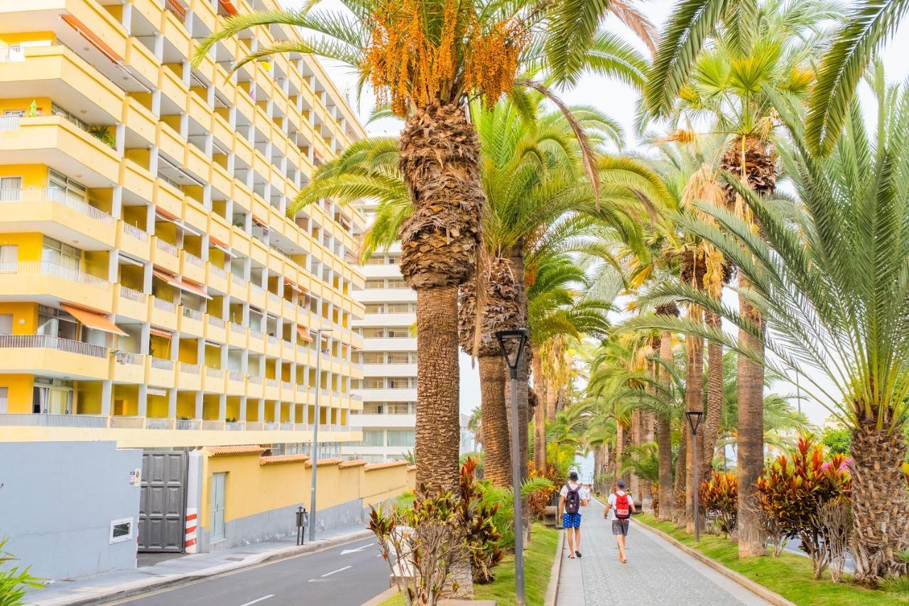 Live Puerto De La Cruz Las Palmeras Exterior foto